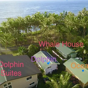 https://whale-house-at-kehena-beach.hotelsinhawaii.org